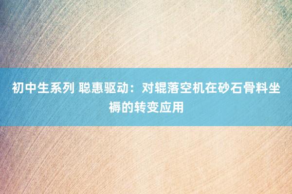 初中生系列 聪惠驱动：对辊落空机在砂石骨料坐褥的转变应用