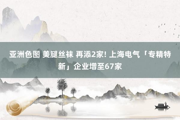 亚洲色图 美腿丝袜 再添2家! 上海电气「专精特新」企业增至67家