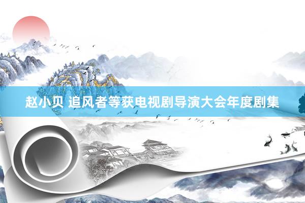 赵小贝 追风者等获电视剧导演大会年度剧集