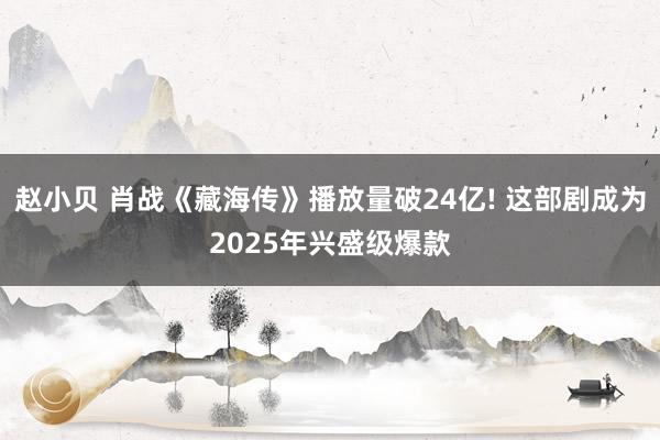 赵小贝 肖战《藏海传》播放量破24亿! 这部剧成为2025年兴盛级爆款