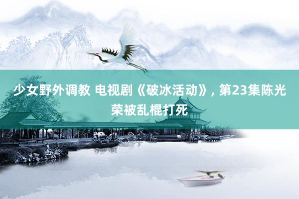 少女野外调教 电视剧《破冰活动》， 第23集陈光荣被乱棍打死