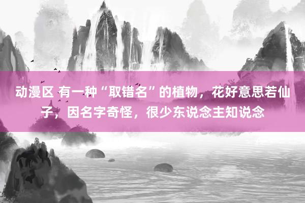 动漫区 有一种“取错名”的植物，花好意思若仙子，因名字奇怪，很少东说念主知说念