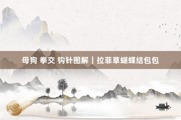 母狗 拳交 钩针图解｜拉菲草蝴蝶结包包