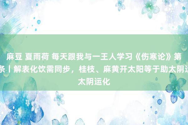 麻豆 夏雨荷 每天跟我与一王人学习《伤寒论》第40条丨解表化饮需同步，桂枝、麻黄开太阳等于助太阴运化