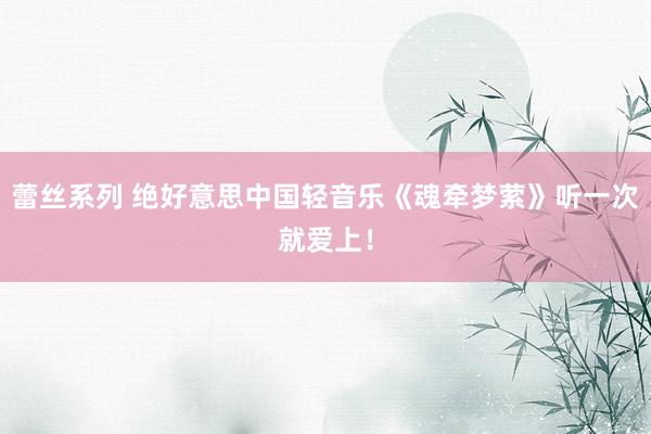 蕾丝系列 绝好意思中国轻音乐《魂牵梦萦》听一次就爱上！