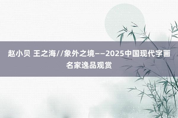 赵小贝 王之海//象外之境——2025中国现代字画名家逸品观赏