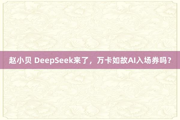 赵小贝 DeepSeek来了，万卡如故AI入场券吗？